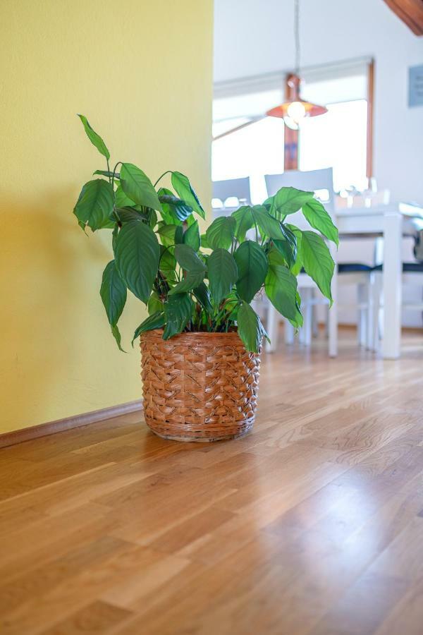 Apartman Skroza Vodice Exterior foto